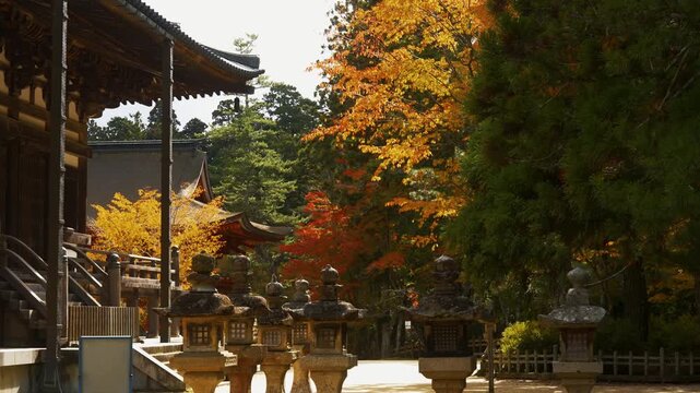 Autumn Scenery of Koyasan &ndash; Danjo Garan, Koya Town, Wakayama Prefecture　「秋景色の高野山壇上伽藍」和歌山県高野町