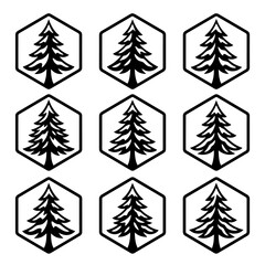 Obraz premium Black pine tree hexagon icons set.