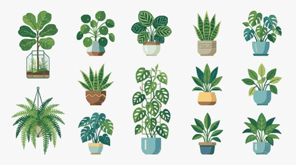 Dynamic Collection of 15 Vibrant Indoor Plants in Colorful Pots and Hanging Planters for Home Decor © Deni