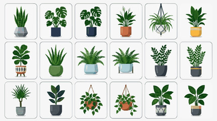 Dynamic Collection of 18 Stylish Indoor Plants in Varied Pots and Hanging Planters for Home Decor © Deni