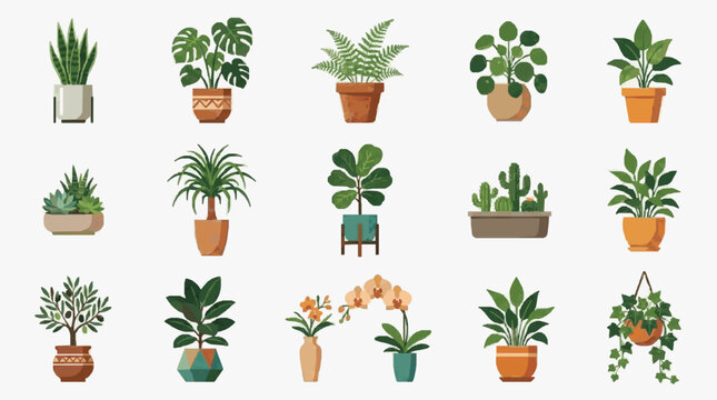 Dynamic Collection of 15 Colorful Potted Plants and Indoor Greenery for Home Decor and Plant Lovers