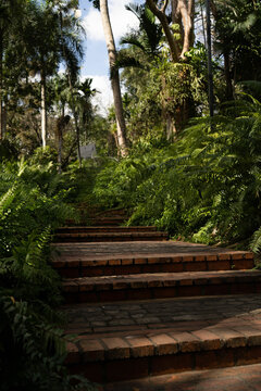 Jardin botanico nacional santo domingo republica dominicana
