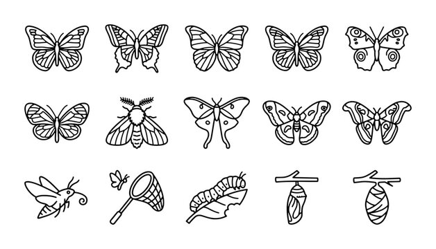 Butterfly and Moth Icons Set, Insect Vector Graphics, Nature Elements Collection