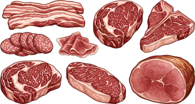 Raw meat cuts vector illustration set featuring beef steaks ribeye t bone bacon salami ham and prosciutto slices for butchery menu layouts.