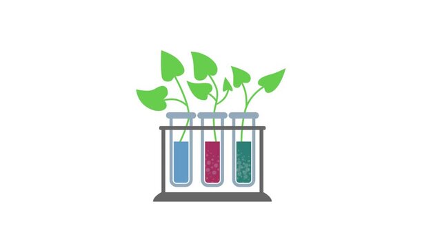 Flat vector science laboratory animation with green plants growing inside colorful test tubes