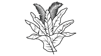 Tropical plant arrangement with various large leaves and fronds exotic foliage design. © MST DESIGN
