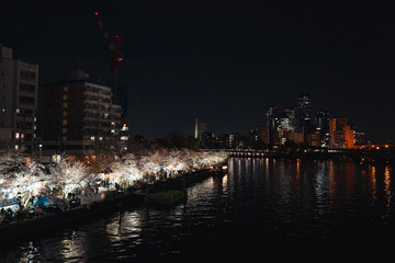 Fototapeta premium 大阪