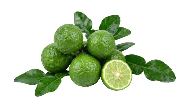 fresh green kaffir lime
