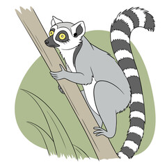 Cartoon lemur sitting on a tree branch in a forest with wildlife illustration vegetation © Adori