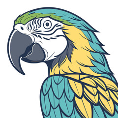 Close-up illustration of a colorful macaw parrot with feathers psittacine bird colorful © Adori