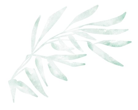 Watercolor bamboo branch with graceful green leaves in soft natural tones. Ideal botanical clipart for branding, packaging, stationery, spa products, menus and elegant decor