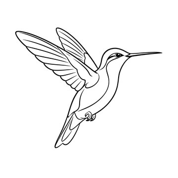 Line art of a hummingbird in flight on a white background