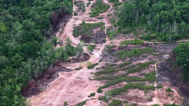 Aerial view shows deforested land
