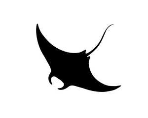 Dynamic ray fish silhouette vector illustration  © Pens'K