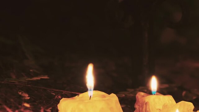 Candles are placed on the ground in a forest at night. The flickering flames provide light in the dark surroundings. Leaves are scattered around the candles.