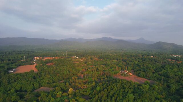 Forest, Western Ghat, Nature Background