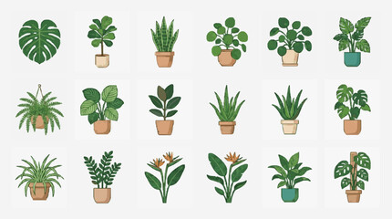 Elegant Collection of 15 Vibrant Houseplants in Stylish Pots for Modern Home Decor and Interior Design © Dodi