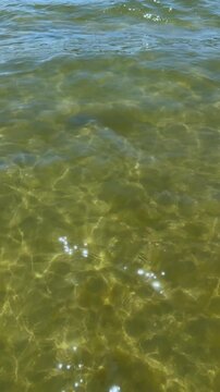 Baltic Sea waves on the Polish coast