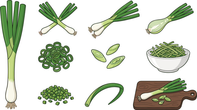Green onion scallion vector collection featuring whole sliced chopped spring onions fresh herbs and cooking ingredient illustrations