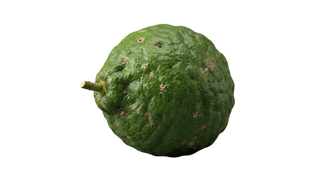Fresh whole bergamot fruit on white
