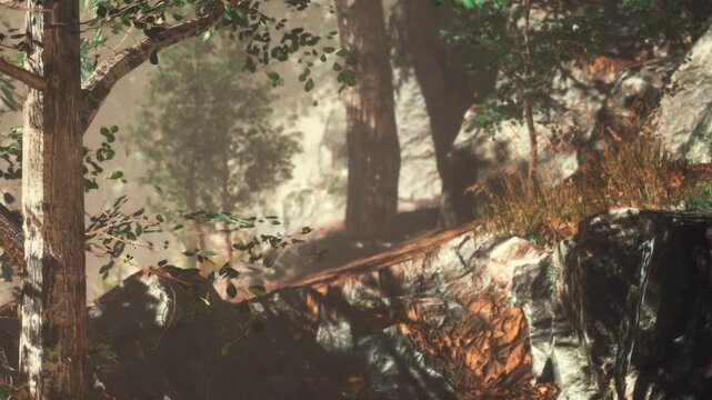 A person walks along a path in a forest, surrounded by tall trees and rocks. Sunlight filters through the leaves, creating patterns on the ground. The scene is quiet and natural.