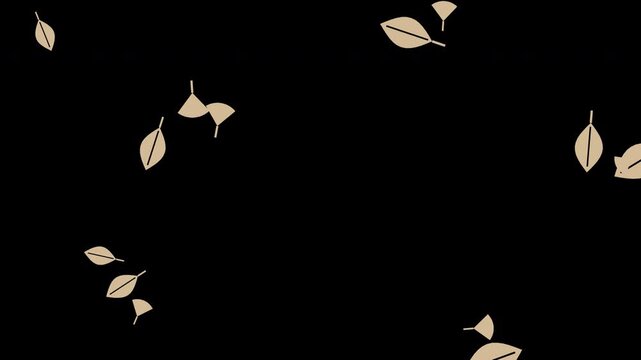 Beige autumn leaves falling and spinning, transparent background seamless loop animation