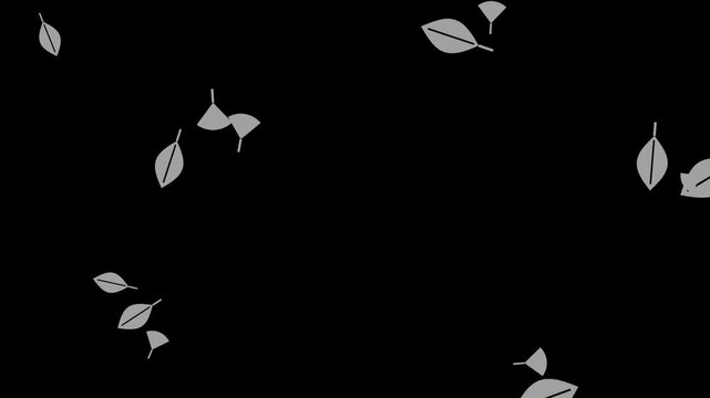 Gray autumn leaves falling and spinning, transparent background seamless loop animation