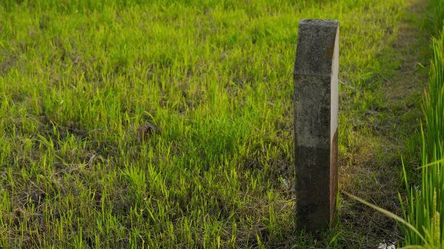 Stone post stands alone in lush green grass with natural and quiet scene in open field.