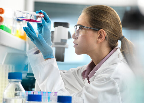 Stem Cell Research, Scientist viewing cells in a flask ready to be analysed under the microscope during an experiment in the laboratory