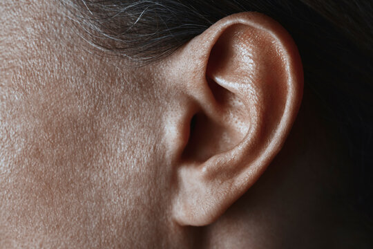 Close up detail of a human ear and skin texture