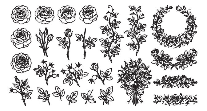 Vintage rose botanical line art collection, black ink floral sketches and rosebud illustrations, 21 vector elements for wedding invitations