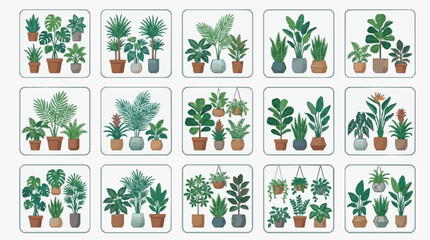 Industrial Collection of Vibrant Houseplants in Modern Pots and Hanging Planters with high quality professional line art symbols for modern creative design and digital branding projects © haidar