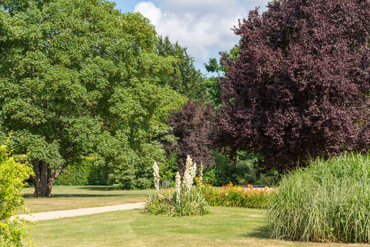 A landscaped botanical garden features mature trees, ornamental grasses and flowering borders under blue skies. Yucca filamentosa and Hemerocallis brighten the peaceful summer park.