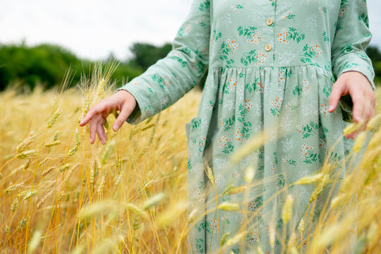 Hand touching golden wheat in a summer field