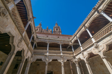 Fototapeta premium VIsta interior de la Casa de las conchas (Salamanca)