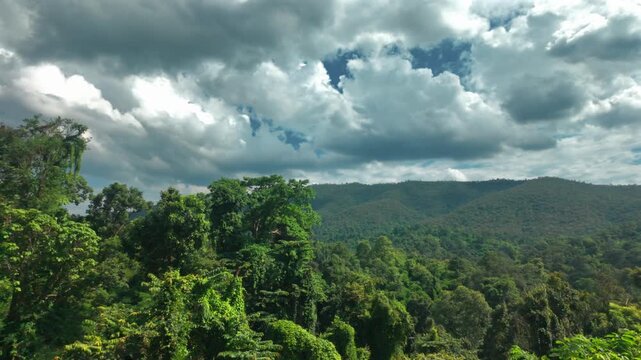 Tropical rainforest landscape beneath dramatic clouds and mountain skyline, Lush jungle valley stretching across protected wilderness in scenic Thailand highlands 4k