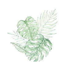Watercolor composition with tropical leaves of monstera and palm trees. Hand-drawn illustration of exotic tropical plants. Design and layout. Postcards, invitations. Summer theme, vacation. © Yana