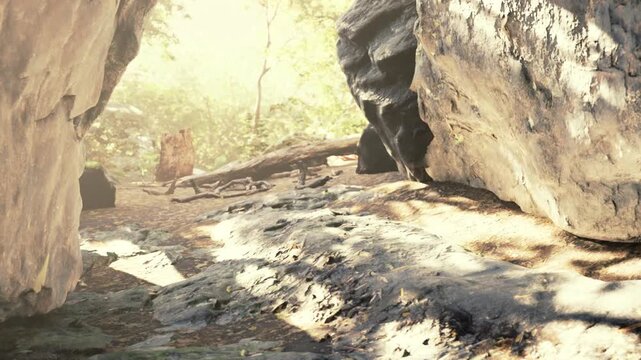 Bright light comes through an opening in a rock cave. The ground is made of stones and dirt with some natural objects around. The scene shows a forest setting.