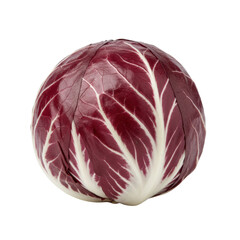 Obraz premium A single fresh radicchio head with vibrant crimson-purple leaves and stark-white veins, macro close-up, soft studio lighting, isolated on a transparent background, concept of natural beauty and