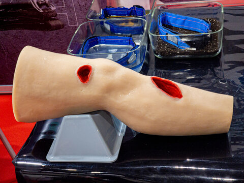 Medical Training Mannequin Leg with Simulated Wounds for First Aid and Bleeding Control