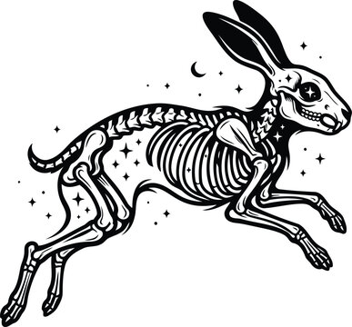 Black and white rabbit skeleton vector with stars and moon illustration