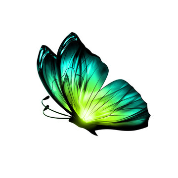 Vibrant emerald green and cyan neon 3D butterfly side view isolated on transparent background