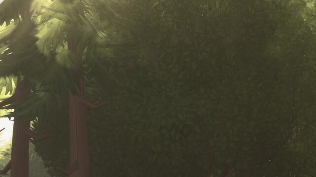 Green leaves catch sunlight in a forest. Shadows make a darker area below the trees. The scene shows nature with light filtering through branches.
