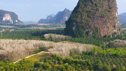 Obraz premium Aerial View of Limestone Karst Mountains and Tropical Jungle in Krabi