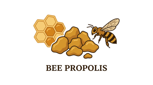 Vibrant vector illustration of natural bee propolis resin chunks, a golden honeycomb, and a hardworking honeybee, symbolizing organic health products and apiculture