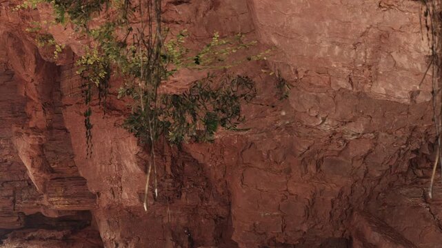 A group of people walks through a cave. They look at the rocky walls and notice plants hanging from the ceiling. The atmosphere is dark with warm tones from the rocks.