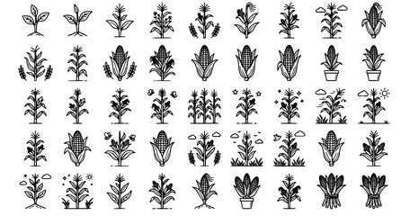 Collection of corn and plant illustrations © TOHURA