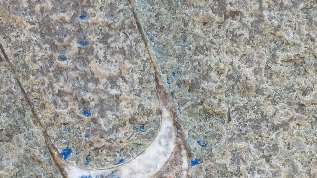 Panning shot of an Orthocone fossil in limestone with white crystals (possibly quartz) Extinct straight-shelled cephalopod from the Ordovician period, showcasing ancient marine life and mineralization
