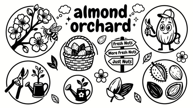 ripe almonds growing in a productive orchard with healthy almond trees fertile agricultural landscape blooming branches harvest season and sustainable farming environment
