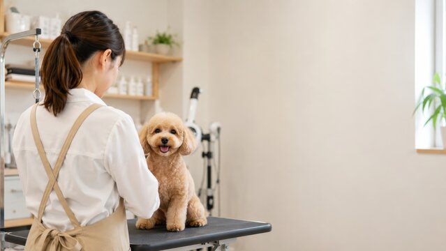 トリマーの後ろ姿とペットの小型犬が座ってる様子